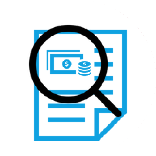 icon Report Financial